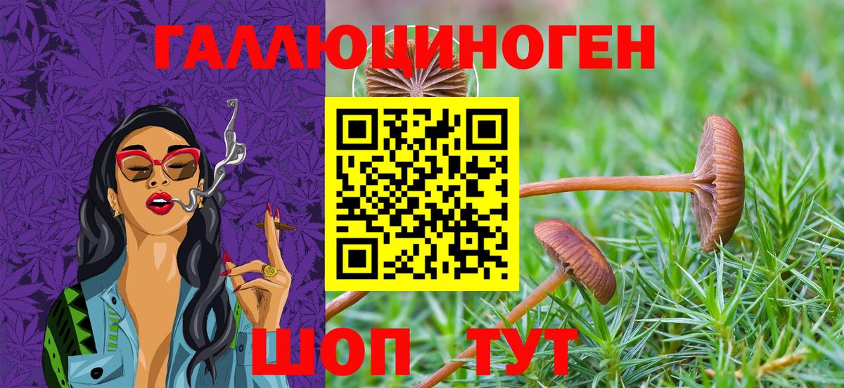 Галлюциногенные грибы прущие грибы Уварово